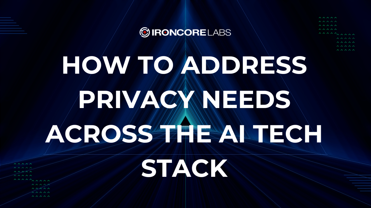 How to Address Privacy Needs Across the AI Tech Stack